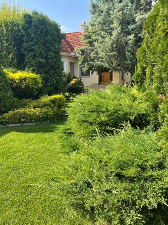 Villa Relax Apartman Gardony Bagian luar foto