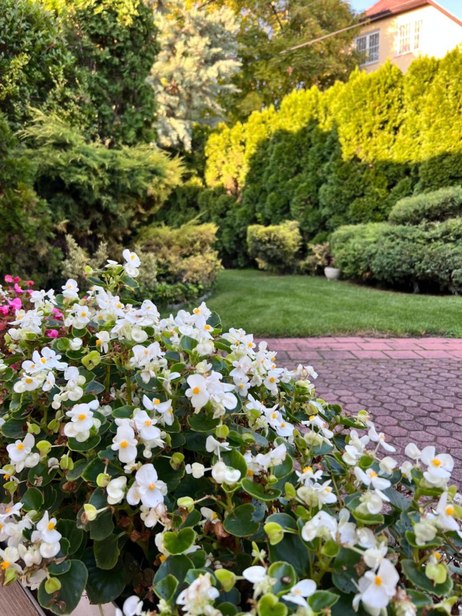 Villa Relax Apartman Gardony Bagian luar foto